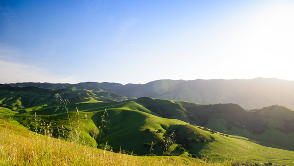 green hills around campus